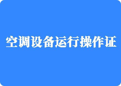 操美女的小骚逼的网站入口制冷工证